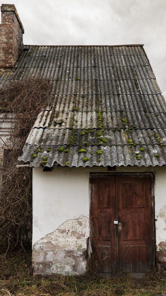 Toiture ancienne envahie par la mousse, signe qu'une rénovation s'impose