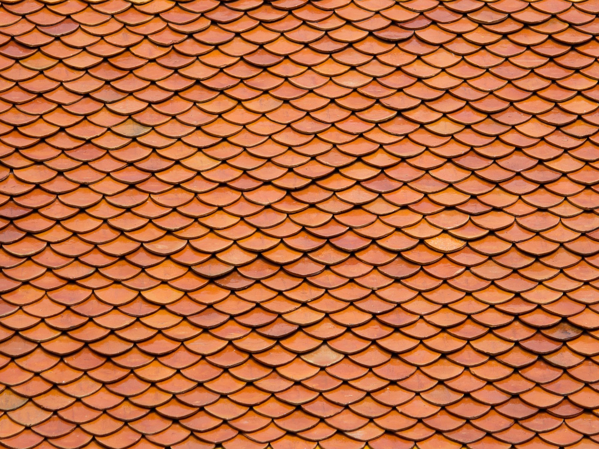 Tuiles neuves posées avec un pureau parfaitement régulier